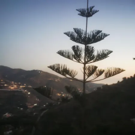 Casa Luxury Madera En Montanas De Torrox مالقة