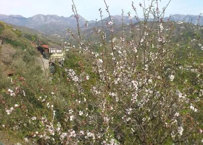 Casa Luxury Madera En Montanas De Torrox *
