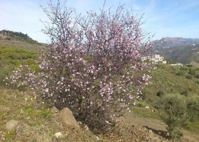 Σαλέ Casa Luxury Madera En Montanas De Torrox Μάλαγα